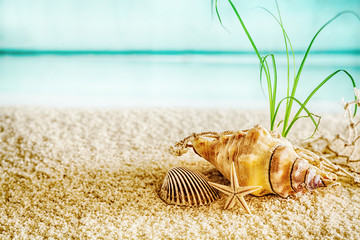 Summer beach in a tropical paradise