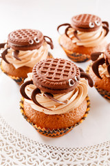 chocolate muffins