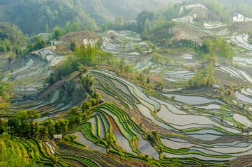Rolgordijnen Yuan Yang Rice Terraces © jasonyu