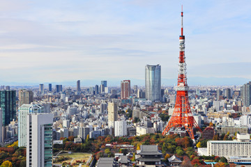 Fototapeta premium Pejzaż Tokio