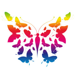 Fototapeta premium butterflies design