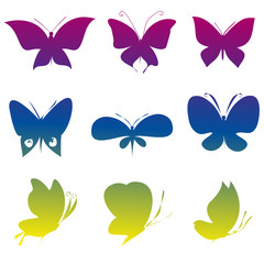 butterflies design