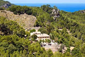 Fototapeta premium Terrases in Banyalbufar in Majorca