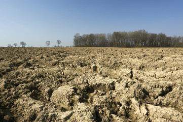aratura campi