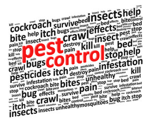 Pest Control For Bugs And Rodents Word Cloud Vector