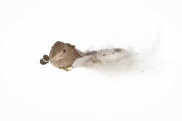 Christmas decoration - grey bird