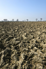 aratura campi