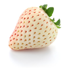 white strawberry isolated on white background