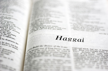 Naklejka premium Book of Haggai