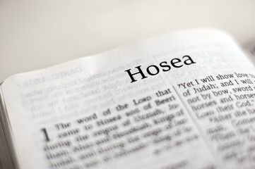Book of Hosea