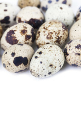 Quail eggs border