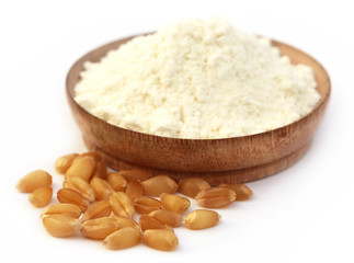 Wheat and flour
