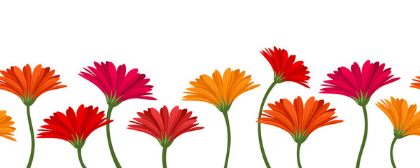 Horizontal seamless background with gerbera flowers. Vector.