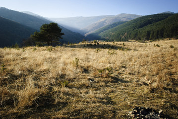 Landscape form Bulgaria - Vitosha, Zheleznitsa