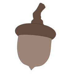 cartoon image of acorn nut