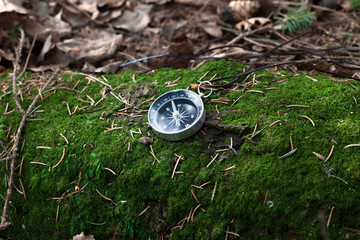 compass on a mossy log in a forest