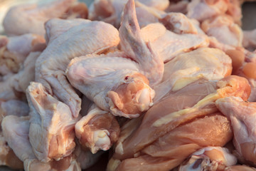 chicken meat