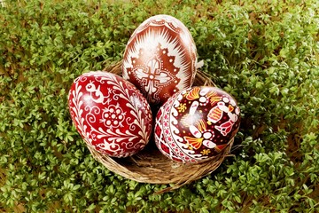 Easter eggs in a nest on cuckooflower - obrazy, fototapety, plakaty
