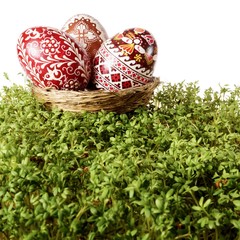 Easter eggs in a nest on cuckooflower - obrazy, fototapety, plakaty