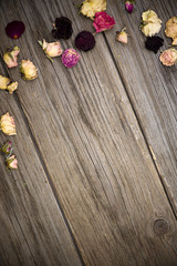 Dry roses on old wood background with copy space