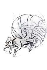 Centauro, horse, sketch of tattoo