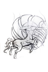 Centauro, horse, sketch of tattoo
