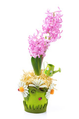 Easter composition with pink hyacinth
