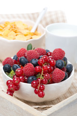 fresh berries, corn flakes and milk on a tray, close-up