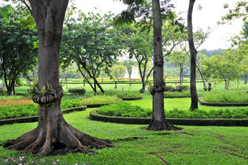 Green park