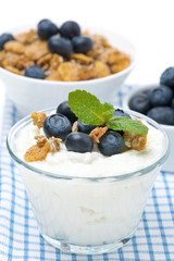 homemade yogurt with blueberries and muesli, close-up