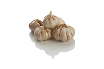 five garlic on white background