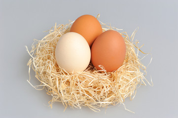 Chicken eggs in nest on gray background