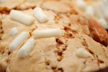 Colomba pasquale