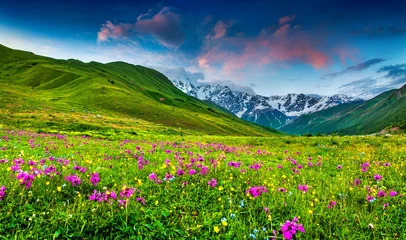 Fotobehang Beautiful view of alpine meadows in the Caucasus mountains © Andrew Mayovskyy