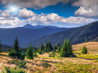 Beautiful summer landscape in the Carpathian mountains