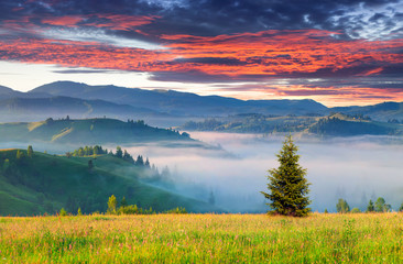 Fototapeta na wymiar Colorful summer sunrise in the mountains.