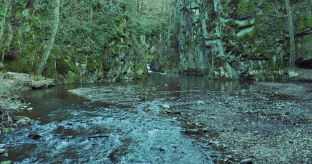 photo of small waterfall in forest