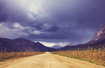 Obraz premium Road on Alaska