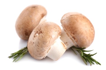Fresh mushrooms isolated on white