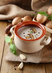 Fototapeta na wymiar Composition with mushroom soup in pot, fresh and dried