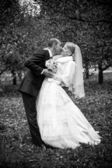 Fototapeta na wymiar bride and groom kissing passionately at park