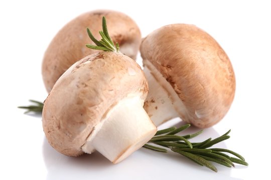 Fresh Mushrooms Isolated On White