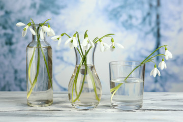 Beautiful snowdrops in vases on nature winter background