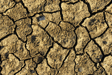 cracked earth texture background