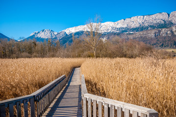 Réserve naturelle du Bout du lac d'Annecy