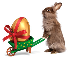 Funny Easter rabbit with a green wheelbarrow and golden egg