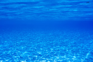 A white sand bottom in clear water