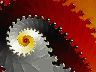 Bunte Schnecke © Jürgen Hust
