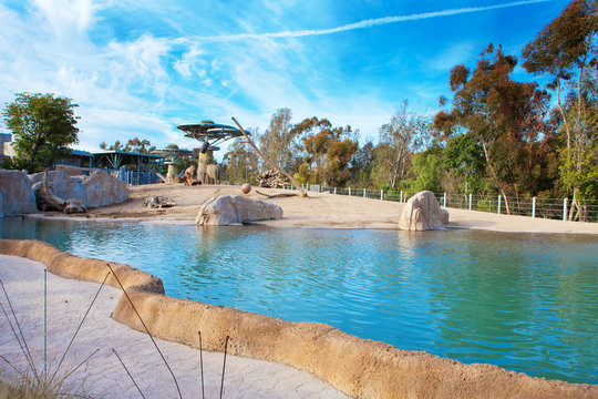 Fototapeta Elephant aviary in San Diego Zoo