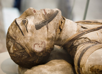 egyptian mummy